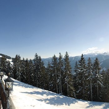 panorama-alm_pan70_102_2_12.01.09